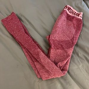 Gym shark leggings original collection.